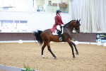 SBM_006135