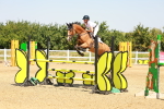 SBM_001311