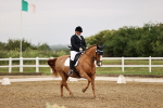 SBM_005364