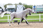 SBM_02438