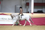 SBM_09306
