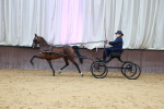 SBM_000681