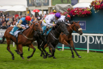 Race 7 5.20pm Sky Bet Nursery Handicap portfolio