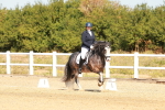 SBM_017784