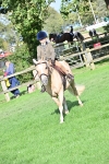 S22 - First Ridden Show & Show Hunter Pony portfolio