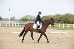 SBM_007203