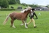 MBM_3367