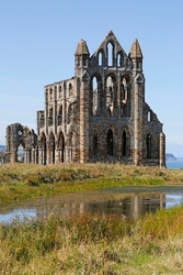 Whitby, North Yorks portfolio