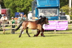 SBM_00573