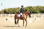 SBM_016943