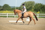 SBM_007343