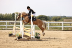 SBM_002964