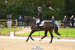 351-MOONLIGHT.CHARMER-Aaron.Millar-DR portfolio