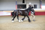 SBM_00561