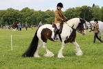 SIAL3248