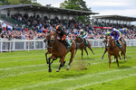 Race 1 1.52pm Marion Gibson Brown Memorial - Irish EBF Restricted Maiden Fillies' Stakes  (Div I) portfolio