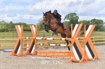 Senior Foxhunter/ 1.20m Open portfolio