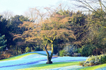DECEMBER 2014-4