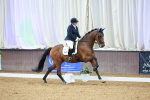 SBM_002945