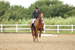 SBM_000909
