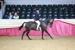 SBM_23341