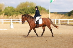 SBM_009358