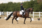 SBM_010991