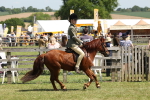 SBM_06833