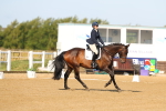 SBM_010595
