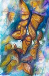 Butterflies portfolio