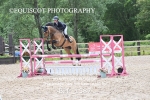 BPP_1587