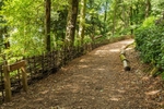 Elleray Wood Wildlife Sculpture Trail