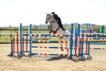 SBM_001952