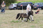 WJ6_5693