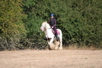 WJ6_7076