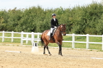 SBM_000575
