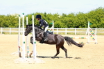 SBM_007341