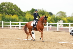SBM_006788