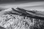 Winter Shadows - BW