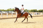SBM_003436