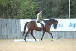 SBM_31127