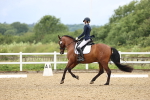 SBM_000354