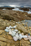 Whitestrand Bay (07077081)