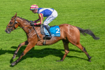 110725-Race 4-Dain Ma Nut In-4304