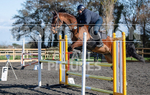 Senior Showjumping_10-11-2019-39