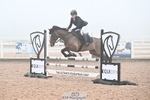 Cls 17 Pony British Novice and 80cm portfolio