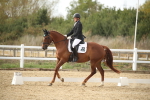 SBM_003371