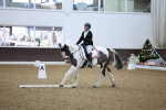 SBM_001955