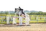 SBM_003335