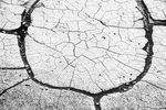 RUNES portfolio